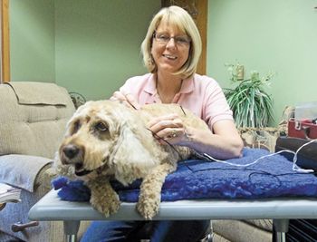 veterinary_Muffin-and-Dr-Ann[2][4]_450px.jpg