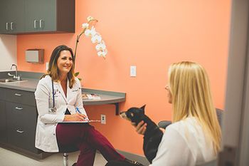 CancerVets_credit_Anne_Willette_Photography_450.jpg
