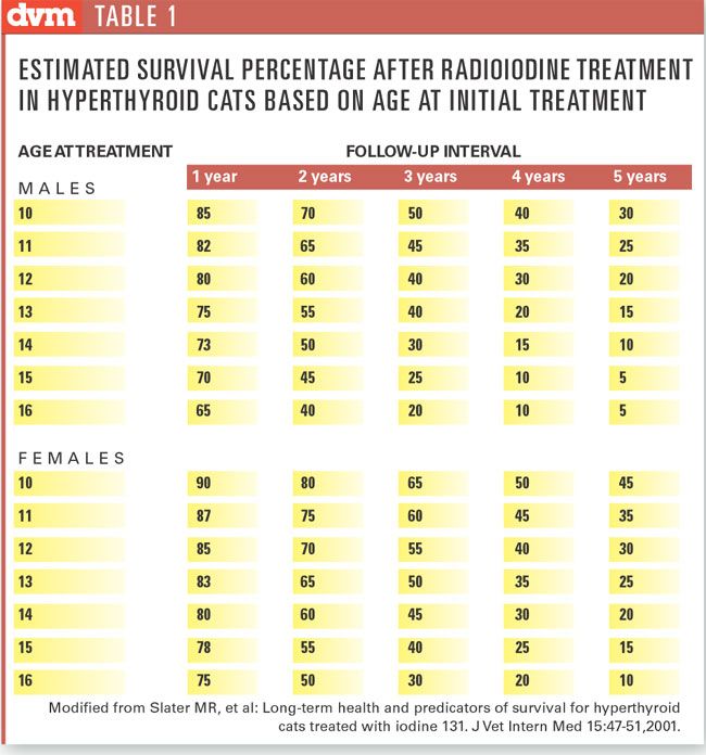 Cat Thyroid Levels Normal Range Chart