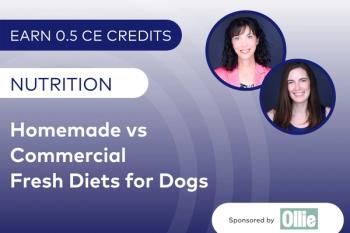 Homemade vs Commercial Fresh Diets for Dogs