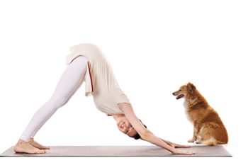 veterinary-Yoga-practice_450px_510461363.jpg