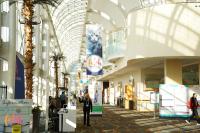 5 clinical sessions we’re excited to attend at the Fetch dvm360 Veterinary Conference in Long Beach, California