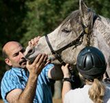 veterinary_1209_Marcella_2-645763-1384408225823.jpg
