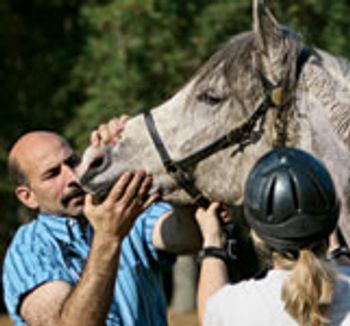 veterinary_1209_Marcella_2-645763-1384408225823.jpg