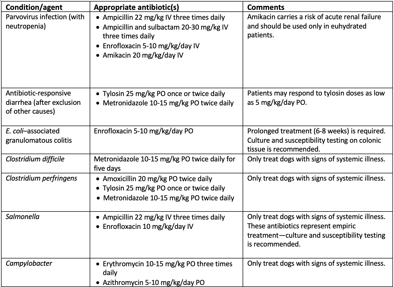 what antibiotic is used for parvo in dogs