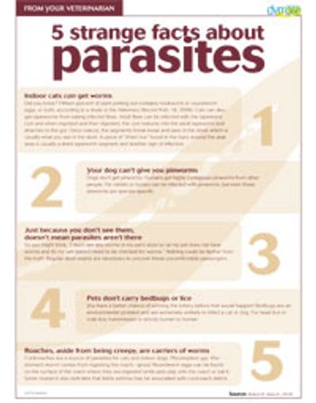 parasitehandoutREV200.jpg