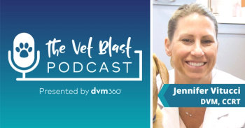 The Vet Blast Podcast shock wave