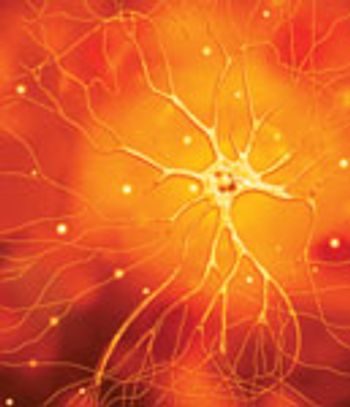 0709_Nerve_CV-608398-1384505630291.jpg