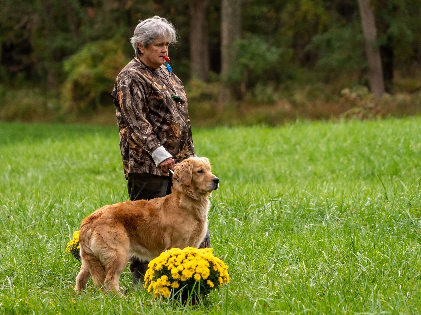 Veterinary hero Gerry Sprague