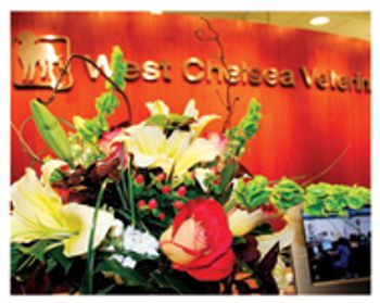 veterinary_west_chelsea_Front-599808-1384509415276.jpg