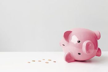veterinary-empty-piggy-bank-450px-shutterstock-250871119.jpg