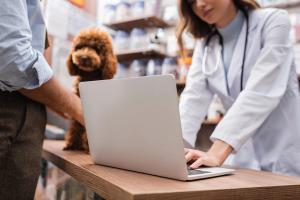 10 tips to rock your externships!