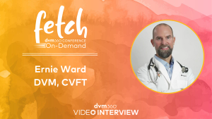 The formula for success in veterinary practice