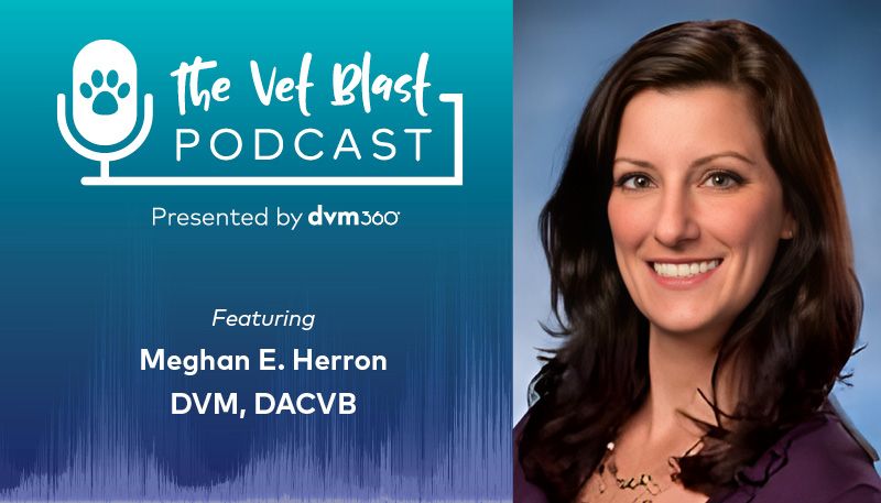 Vet Blast Podcast with Meghan Herron