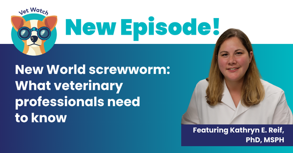 New World screwworm: What veterinary professionals need to know
