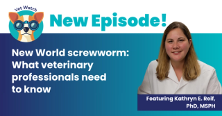 New World screwworm: What veterinary professionals need to know