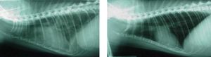 Figure3-675309-1384276254700.jpg