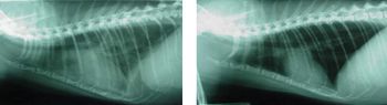Figure3-675309-1384276254700.jpg