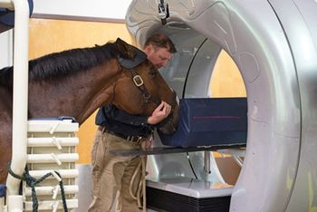 Veterinary-VirginiaTech_CTScanner-1-450.jpg