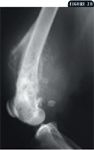 i4-160623-1384780757349.jpg