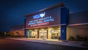 Reunited: Putting all services under one roof 