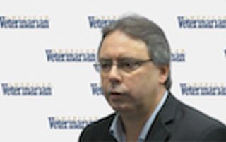 Lyme Disease: Why Don't Dogs Show Clinical Symptoms?