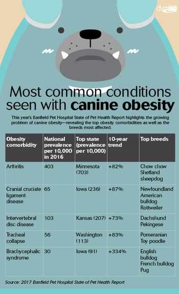 veterinary-banfield-obesity-450px-scroll.jpg