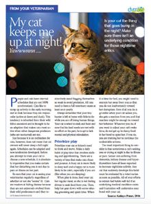 veterinary-cat-handout-night-220.jpg