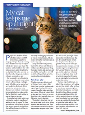 veterinary-cat-handout-night-220.jpg