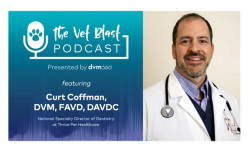 What's new with the "Dentistry Lane" across the veterinary profession?