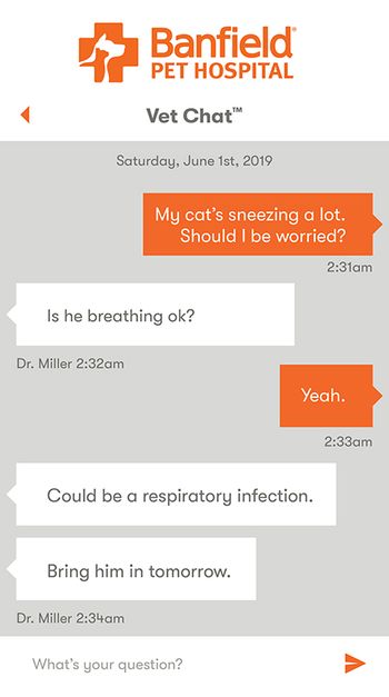 veterinary-banfield-vet-chat-sample-450.jpg