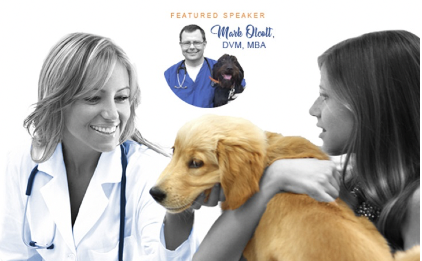 Proble Dvm Free webinar—Paying for veterinary care: New ways to solve a pervasive ...
