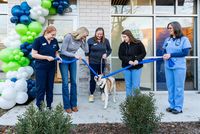 Image courtesy of Lovet Pet Health Care