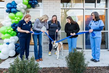 Image courtesy of Lovet Pet Health Care