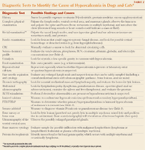 what causes elevated calcium levels in dogs