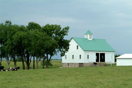 veterinary_rural-648377-1384338957409.jpg