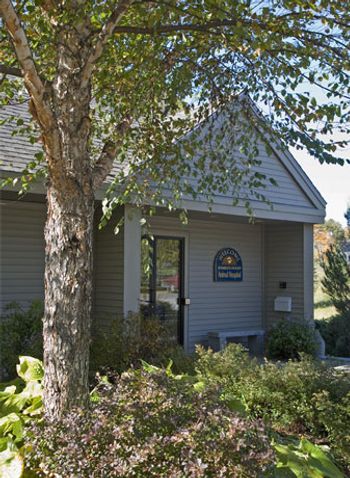 androscoggin_ext-572597-1384533729803.jpg