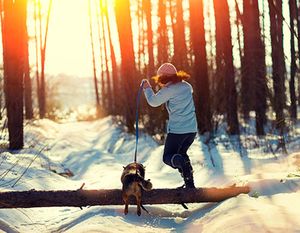3productswinterwalks-450.jpg