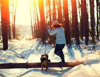 3productswinterwalks-450.jpg