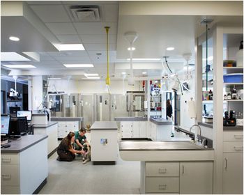 1_PetEmergencyClinic_Treatment_450.jpg