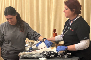 Blood donors needed