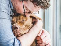 Eight things a veterinary social worker can do for clients and veterinary teams