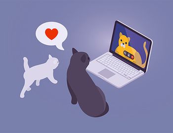 veterinary-cats-telemedicine-laptop-skype-illustration-vector-AdobeStock_117772805-450.jpg