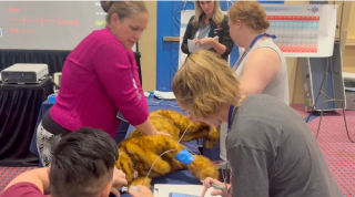 Training new leaders with CPR instructor certification course 