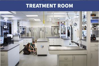 2017_1_PetEmergencyClinic_Treatment_spaw_450.jpg