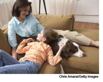 veterinary_lifebalance_wd-611456-1384505668136.jpg