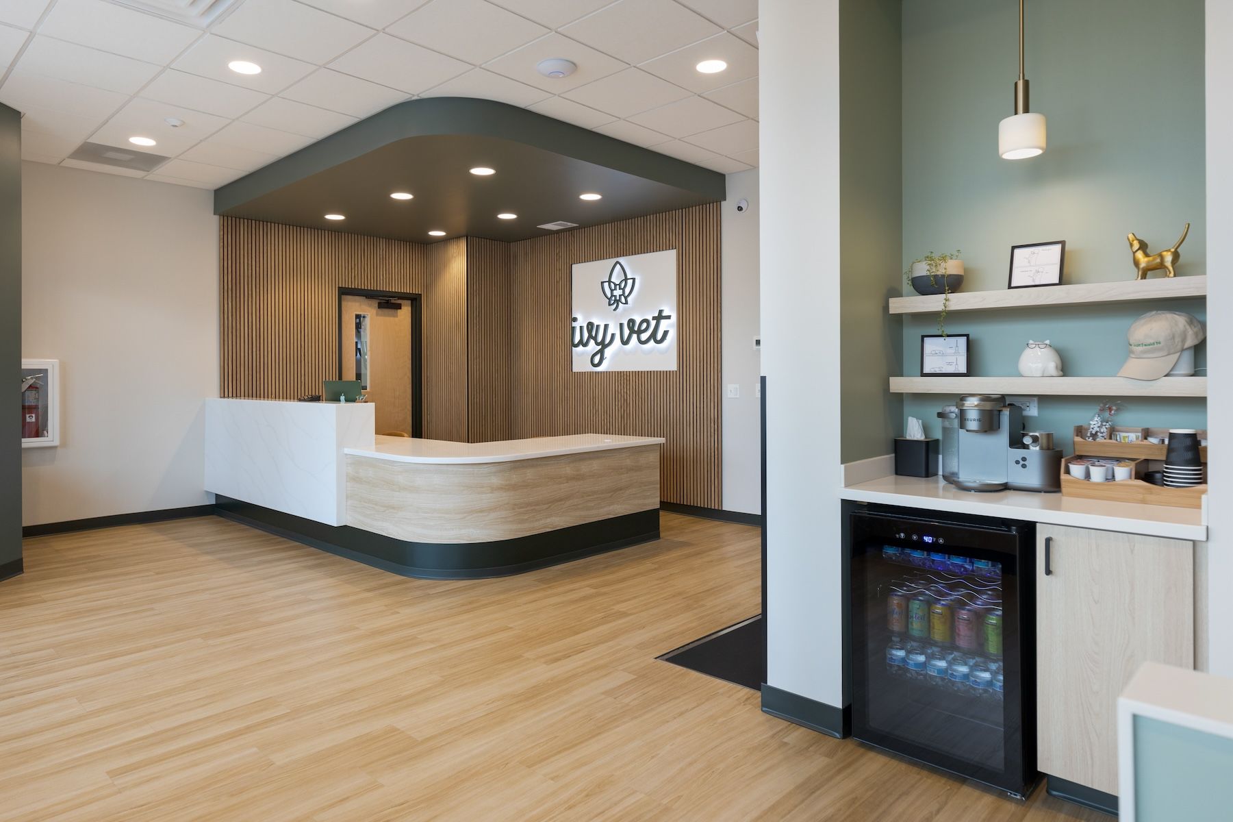 Ivy Vet