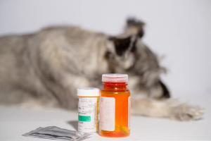Veterinary pharmacy
