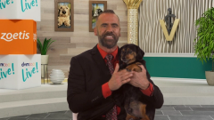 EP. 18 Veterinary news and trends with Dr Adam Christman July 2023