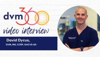 Why is canine osteoarthritis so complex?